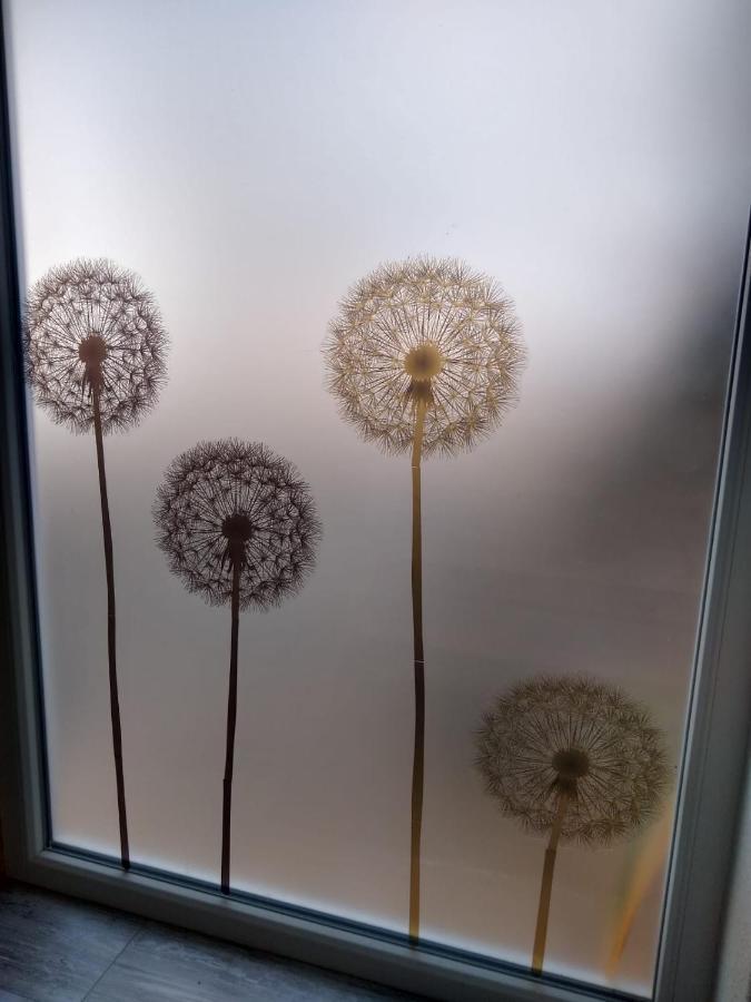 Apartment Pusteblume Mueddersheim